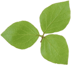 2. utasítás